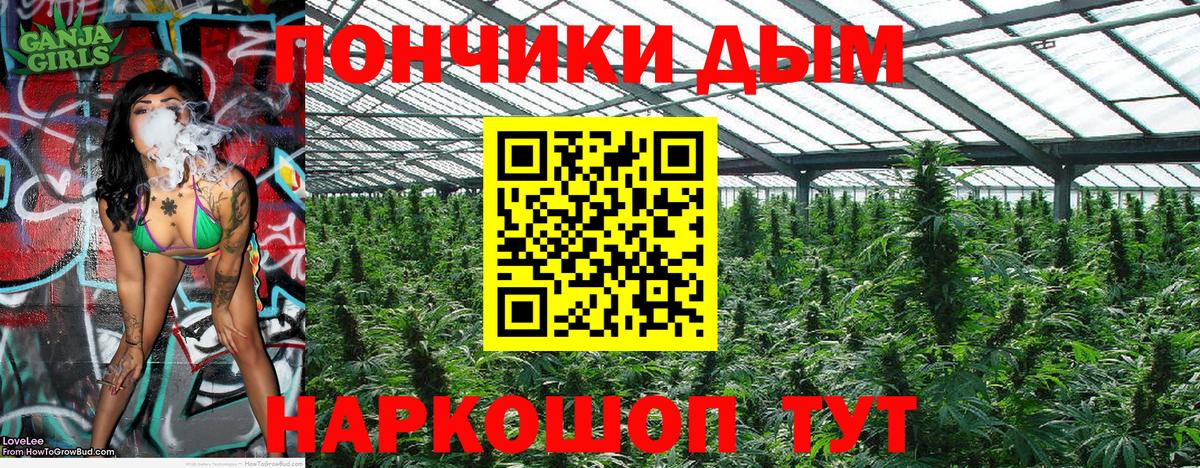 Шишки марихуана конопля Артёмовский